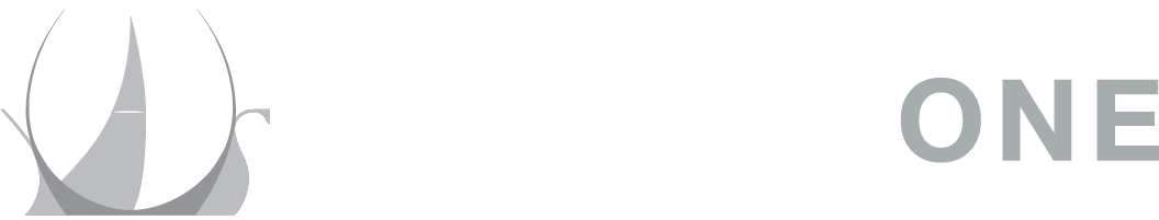 Odyssey ONE